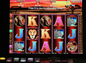 娱乐星空下载app2024最新版