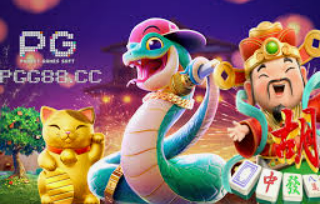 娱乐星空下载app2024最新版